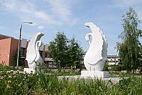02-01.jpg