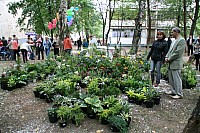 IMG_9130.jpg