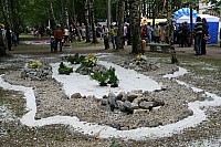 IMG_9142.jpg