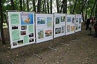 IMG_9156.jpg