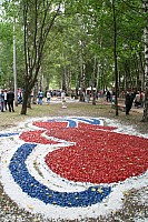 IMG_9174.jpg