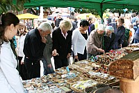 IMG_9431.jpg
