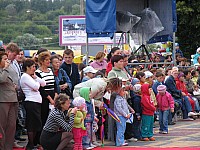 IMG_1993.jpg