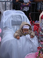 IMG_1981.jpg