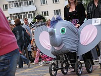 IMG_2083.jpg