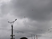 IMG_1901.jpg