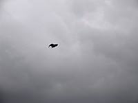 IMG_1957.jpg