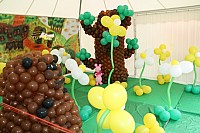 IMG_9493.jpg
