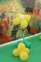 IMG_9494.jpg