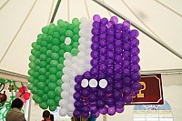 IMG_9498.jpg