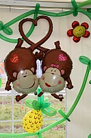 IMG_9502.jpg