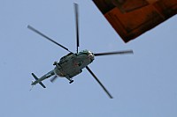IMG_7391.jpg