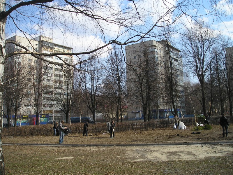 P1010348.jpg