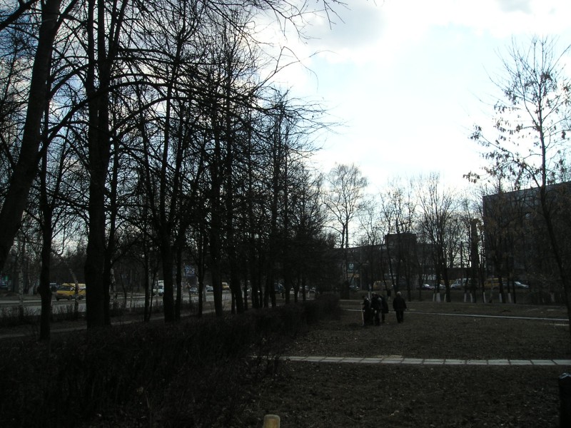 P1010351.jpg