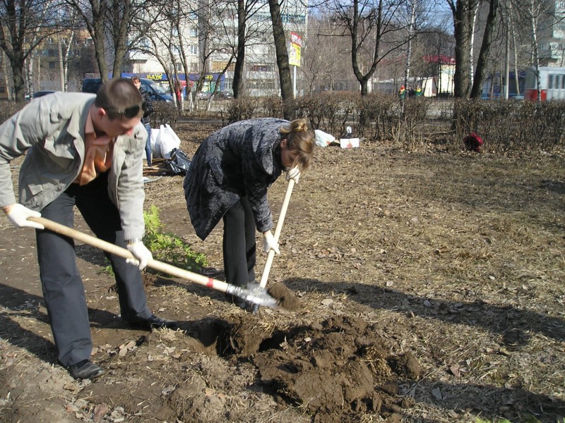 P1010352.jpg