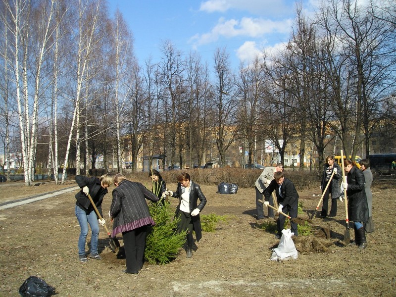 P1010354.jpg