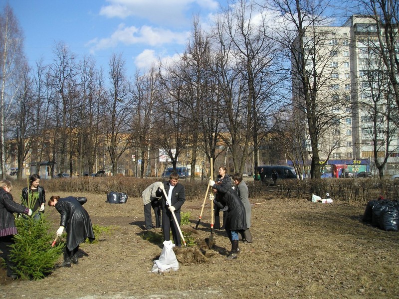 P1010355.jpg