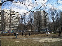 P1010348.jpg