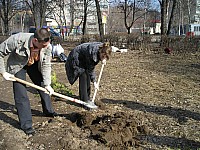 P1010352.jpg