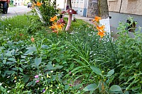 Sample-0029.jpg