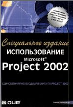 MS Office: Project.  Microsoft Project 2002.
 . 