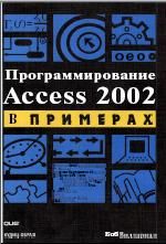 MS Office: Access.  Access 2002  .
 . 